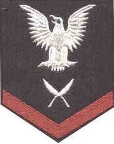 YN3